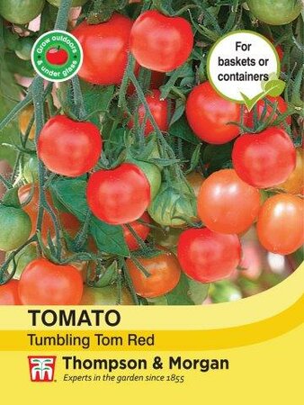 Tomato Tumbling Tom Red - image 1
