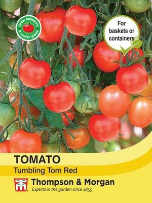 Tomato Tumbling Tom Red - image 2