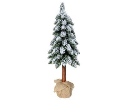 Tora snowy pine in jute bag - image 3