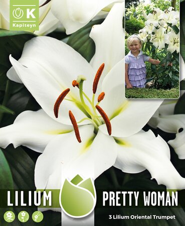 Tree Lilium 'Pretty' Woman (3)