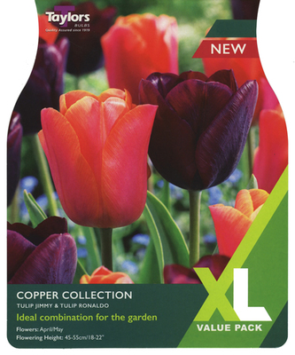 Tulip Copper Collection