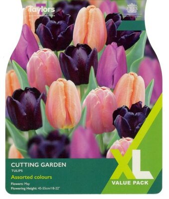 Tulip Cutting Garden XL - Image courtesy of Taylor's Bulbs