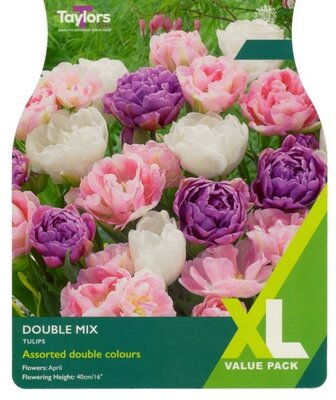 Tulip Double Mix XL - Image courtesy of Taylor's Bulbs