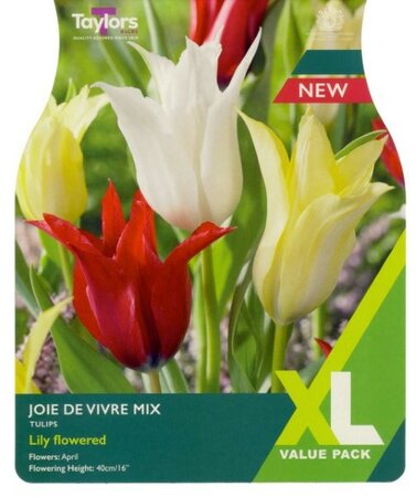 Tulip 'Joie De Vivre' Mix (12 bulbs)