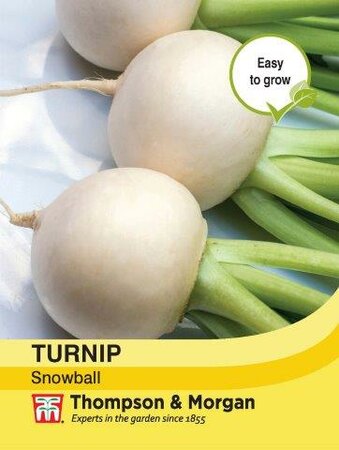 Turnip Snowball - image 1