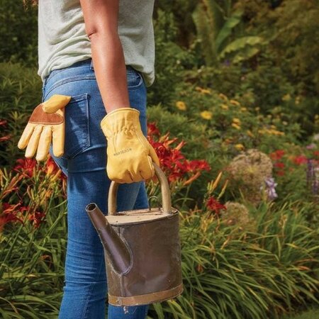 Ultimate Golden Leather -Image courtesy of Smart Garden Products