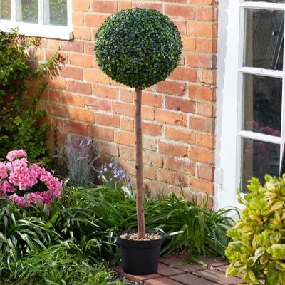 Uno Topiary Tree - image 1