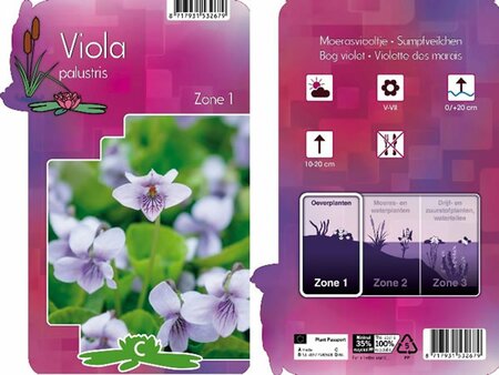 Viola palustris - Image courtesy of Pannebakker