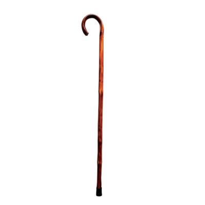 Walking stick Sb226