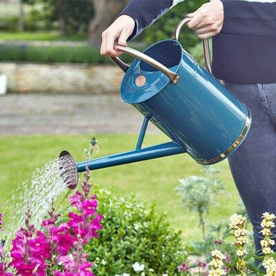 Watering Can - Blue 9L - image 1