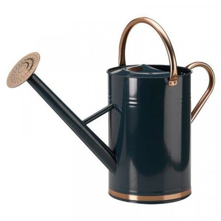 Watering Can - Blue 9L - image 2