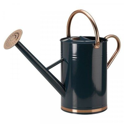 Watering Can - Blue 9L - image 2