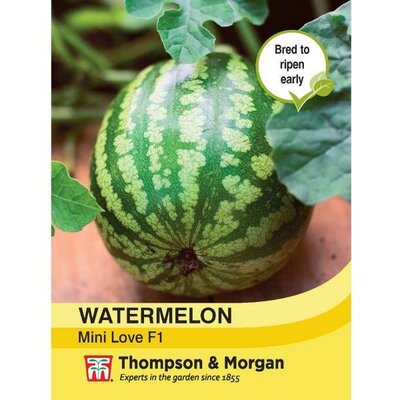 Watermelon 'Mini Love' F1 Hybrid - Image courtesy of Thompson & Morgan