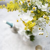 Wedding Décor & Plants