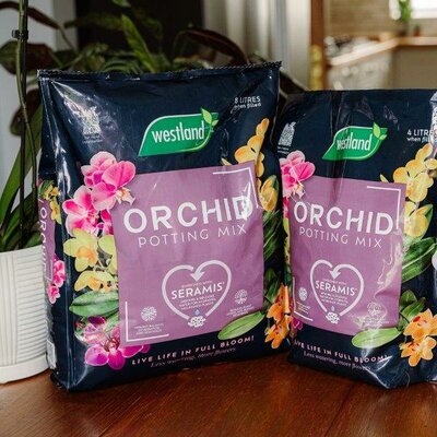 Westland Orchid Potting Mix (Enriched with Seramis – 8L)