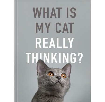 Images courtesy of All Sorted Books
