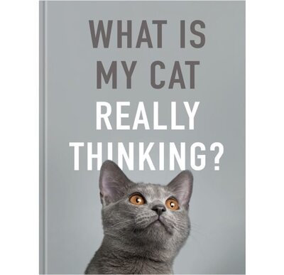 Images courtesy of All Sorted Books
