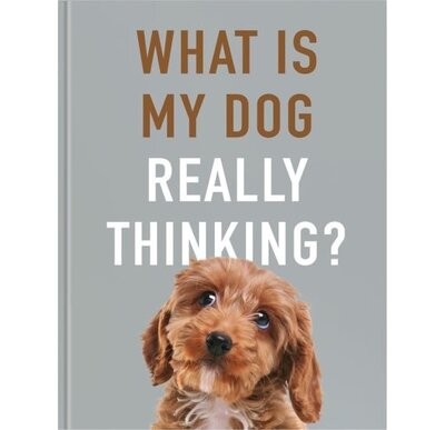 Images courtesy of All Sorted Books