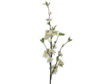 White Blossoms on stem - image 1