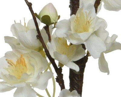 White Blossoms on stem - image 2