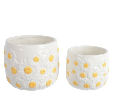 White Daisy Planter -Image courtesy of Kaemingk