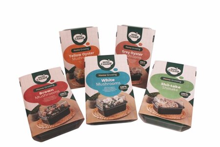 Variety of mushroom kits - Image courtesy of Kapiteyn