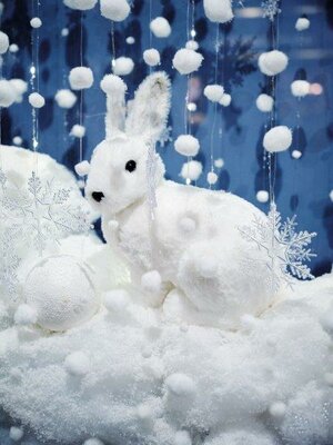 Image courtesy of Kaemingk