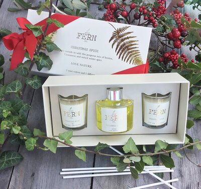 Wild Fern Christmas Gift Set