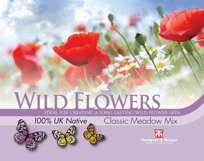 Wild Flower Classic Meadow - image 1