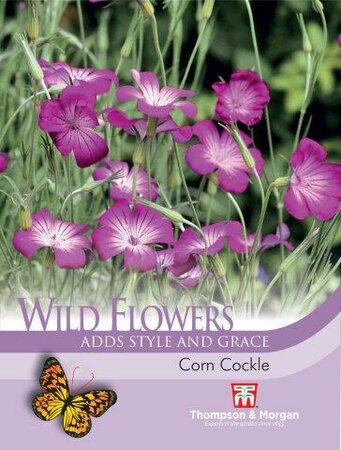 Wild Flower Corn Cockle - image 1