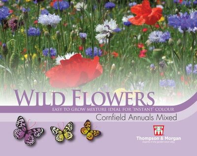 Wild Flower Cornfield Annuals Mixed - image 1