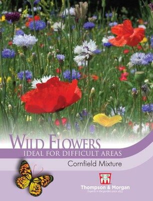 Wild Flower Cornfield Mixture - image 2