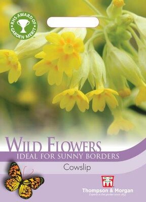 Wild Flower Cowslips (Primula veris) - image 2