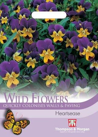 Wild Flower “Heartsease” - image 1