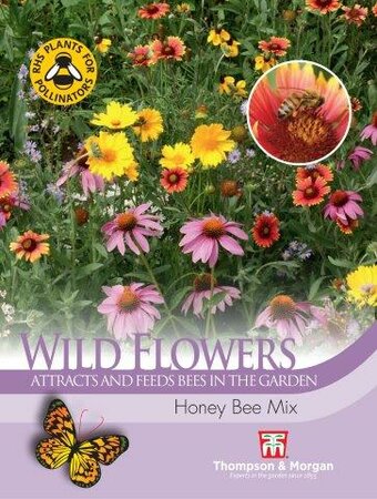 Wild Flower Honey Bee Flower Mix - image 1