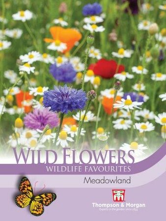 Wild Flower Meadowland - image 1