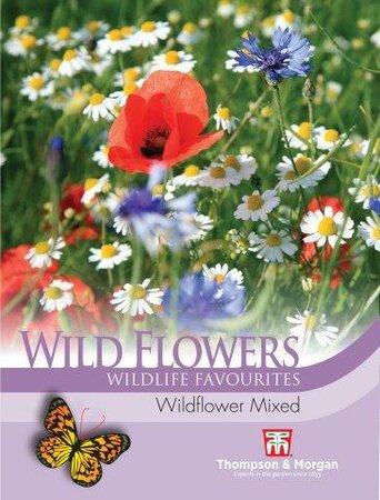 Wild Flower Mixture - image 1