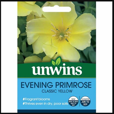 Wildflower Evening Primrose - image 1