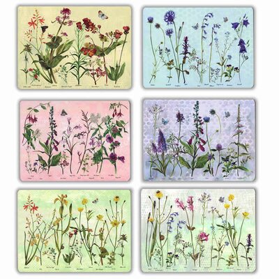 Wildflowers 6 placemats and giftbox set - Image courtesy of annabellangrish.ie