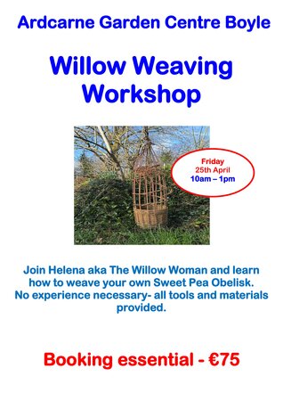 Willow Weaving April 25th Boyle
