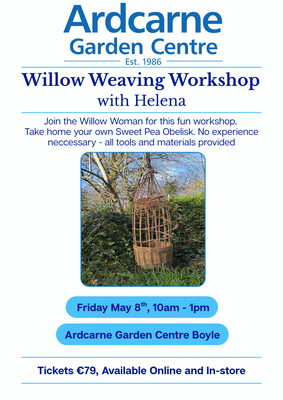 Willow Weaving Workshop Boyle