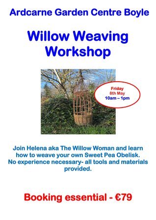 Willow Weaving Workshop Boyle