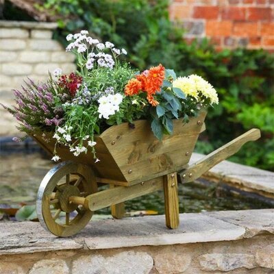 Woodland XL Barrow Planter -Image courtesy of Smart Garden Products