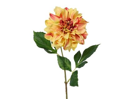 Yellow Dahlia on stem -Image courtesy of Kaemingk