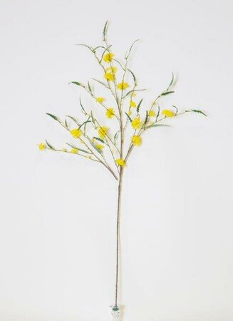 Yellow Lace Flowers -Image courtesy of Elmes