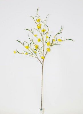 Yellow Lace Flowers -Image courtesy of Elmes